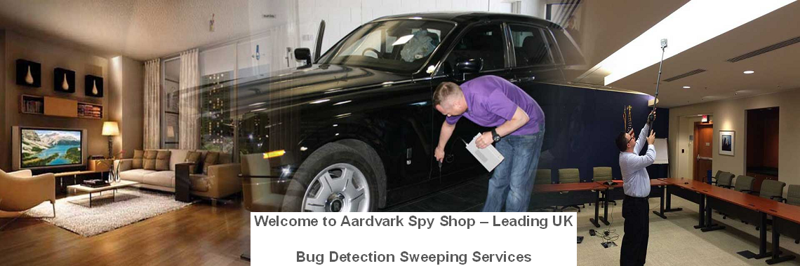 Bug detector and sweeping 